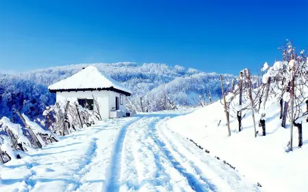 墙裂推荐（雪落人间有清